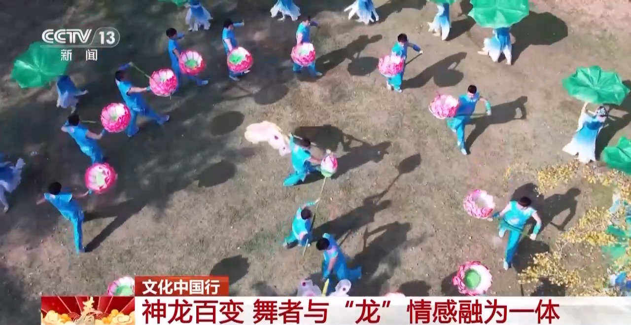 板凳龙、百叶龙……来看不拘一格的龙舞之美不朽情缘游戏网站登录文化中国行丨火龙、(图7)