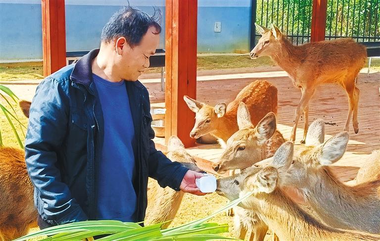 发展产业调研】林下生金不朽情缘游戏【高质量(图3)
