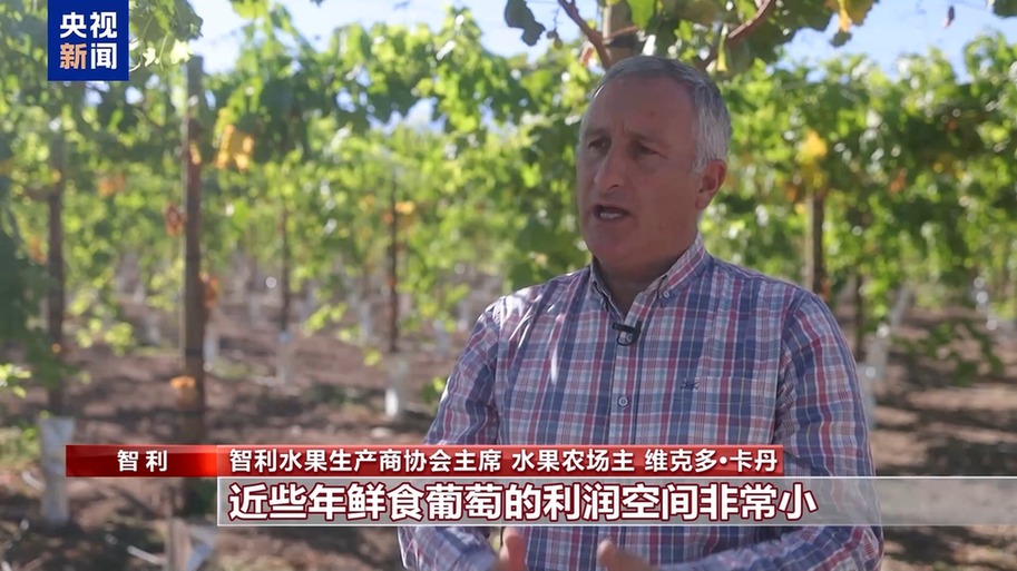 水果棘手的关税 智利水果产业“愁”不朽情