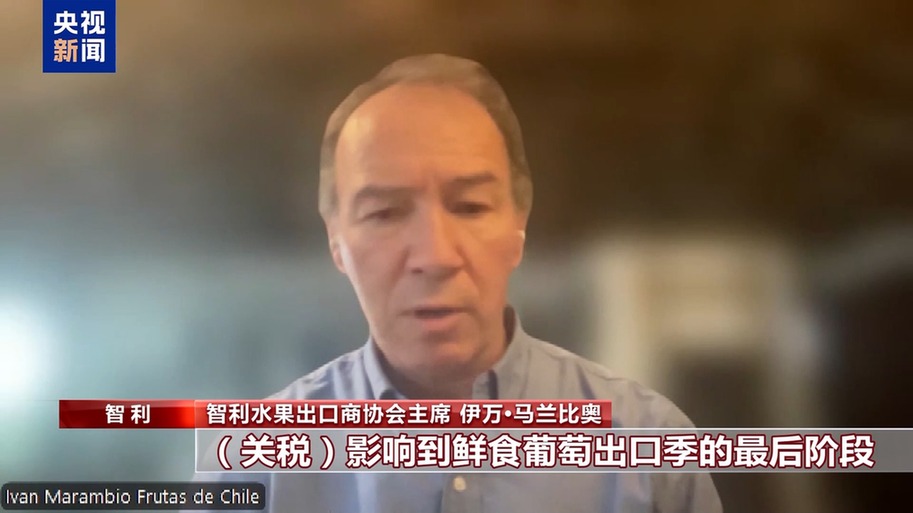 水果棘手的关税 智利水果产业“愁”不朽情缘正版总台记者探访丨应季的(图4)