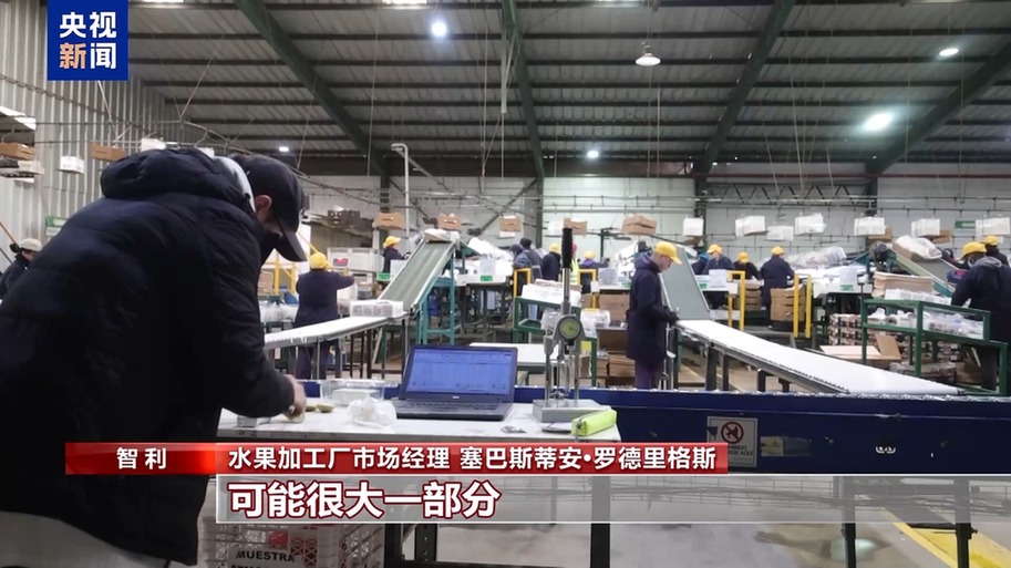 水果棘手的关税 智利水果产业“愁”不朽情缘正版总台记者探访丨应季的(图3)